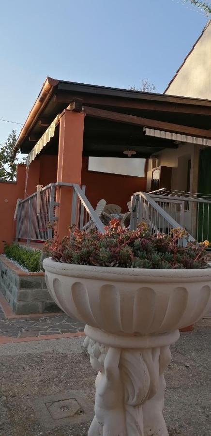 Casa Vacanze Mimose 帕利努罗 外观 照片