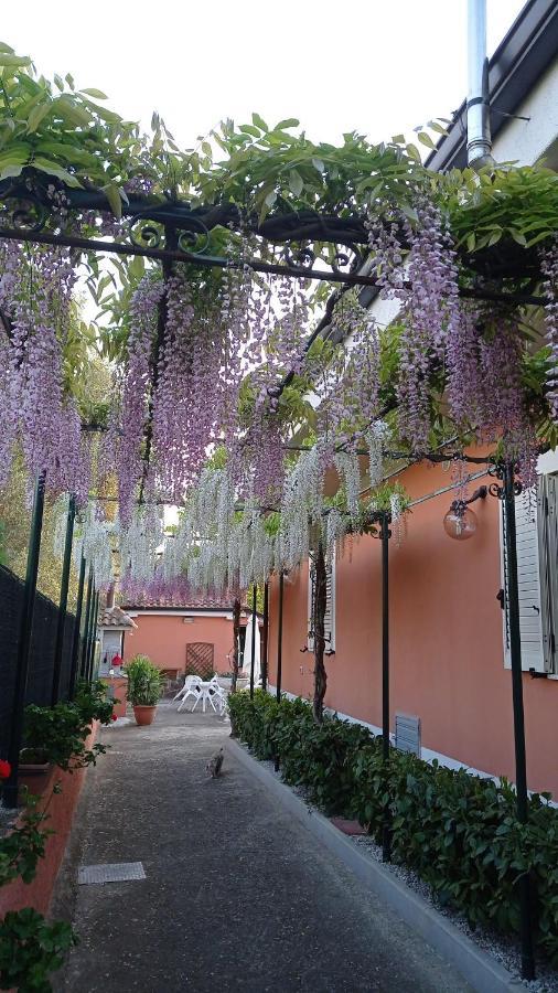 Casa Vacanze Mimose 帕利努罗 外观 照片