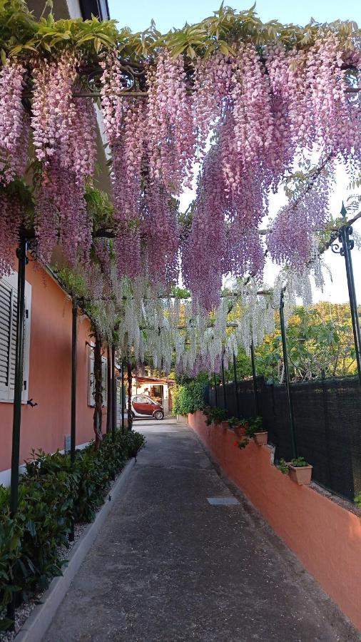 Casa Vacanze Mimose 帕利努罗 外观 照片