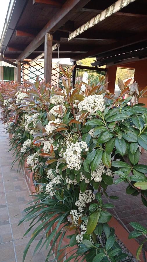 Casa Vacanze Mimose 帕利努罗 外观 照片