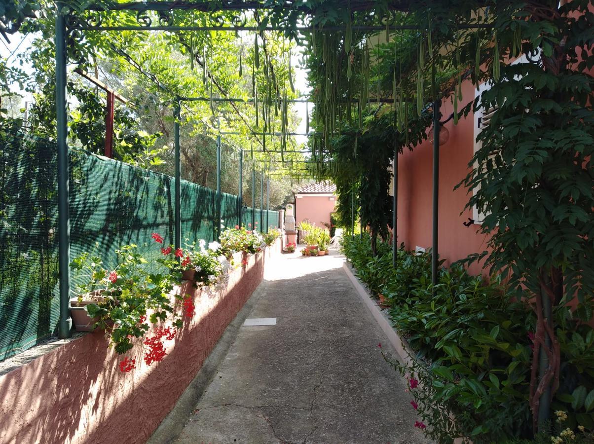 Casa Vacanze Mimose 帕利努罗 外观 照片