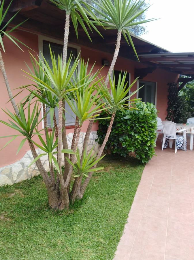 Casa Vacanze Mimose 帕利努罗 外观 照片