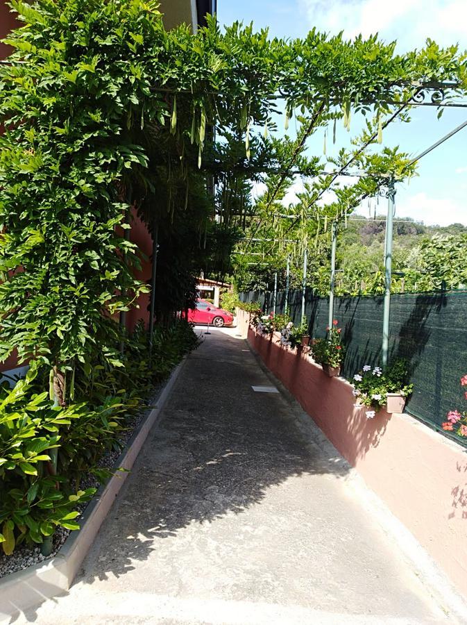 Casa Vacanze Mimose 帕利努罗 外观 照片