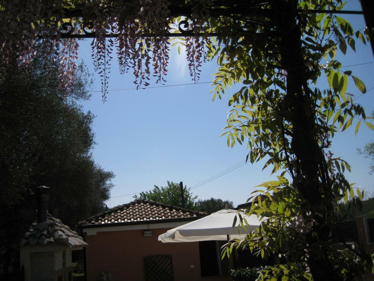 Casa Vacanze Mimose 帕利努罗 外观 照片